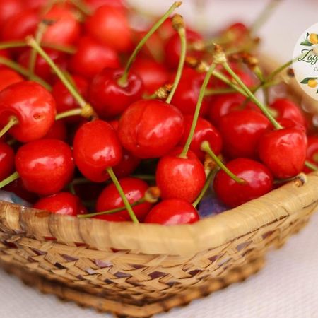 Zagare E Limoni Lägenhet Ostuni Exteriör bild
