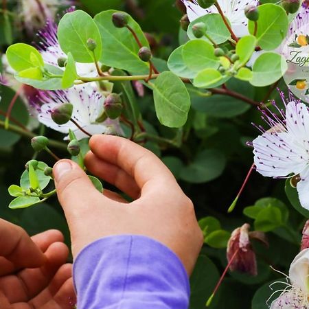 Zagare E Limoni Lägenhet Ostuni Exteriör bild