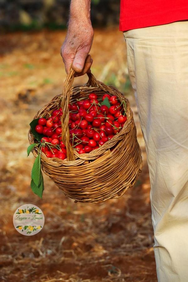 Zagare E Limoni Lägenhet Ostuni Exteriör bild